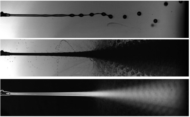 Capsule formation under electric field