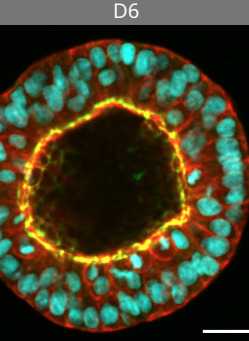 NEW PREPRINT