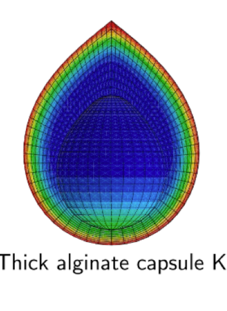 NEW PUBLICATION IN ACTA BIOMATERIALA