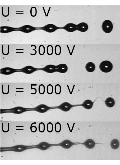 NEW PUBLICATION IN ADVANCED SCIENCE !